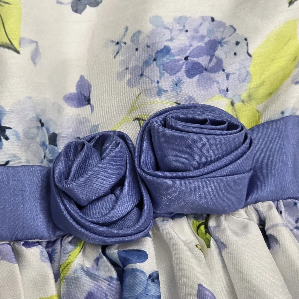 Gymboree Girls Blue Roses Floral Elegant Formal Fancy Ruffled Dress Size 12 NEW
